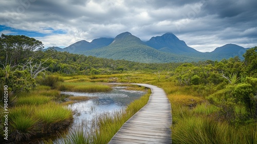 A peaceful boardwalk winding through a wetland area in Ackmon National Park, with lush greenery and distant mountains.