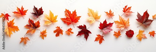 Vibrant Red, Yellow, and Orange Maple Leaves in Fall Scene