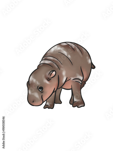 Baby Pygmy hippo