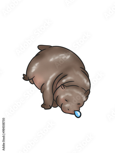 Baby Pygmy hippo