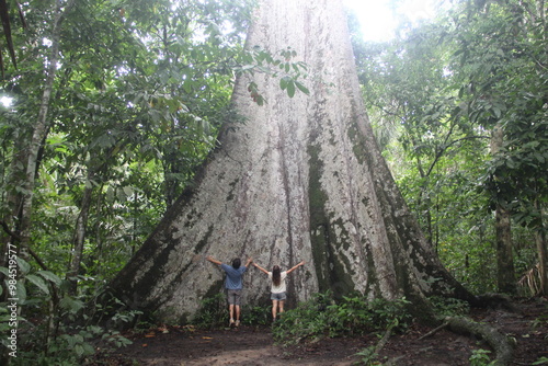 casal ao lado de sumaúma gigantesca e centenária na floresta amazônica em alta floresta, mato grosso  photo