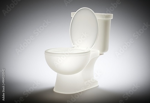 Frosted Glass Toilet A delicate frosted glass inspired depiction photo