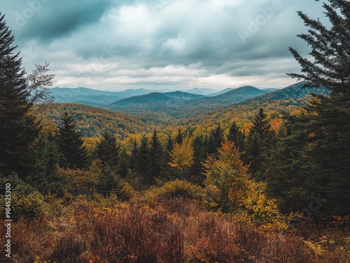 autumn in the forest