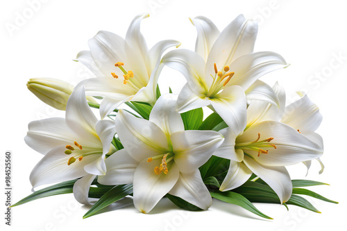 White lily bouquet with green leaves and delicate petals