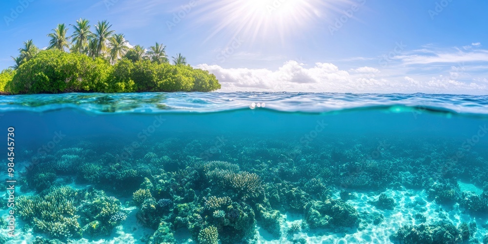 Beautiful underwater view with coral reefs and sun shining on water Beautiful underwater view with coral reefs and sun shining on water