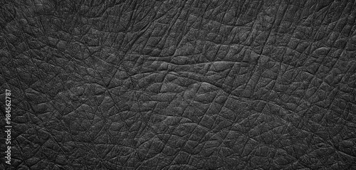 Black premium background with damaged wall texture and very charming details. Wrinkled black surface with intricate lines.