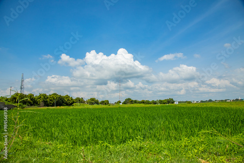 beautiful nature landscape springtime background, beautiful nature peaceful place