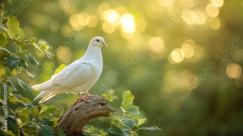 A serene white dove perched on a branch, surrounded by soft, glowing greenery.