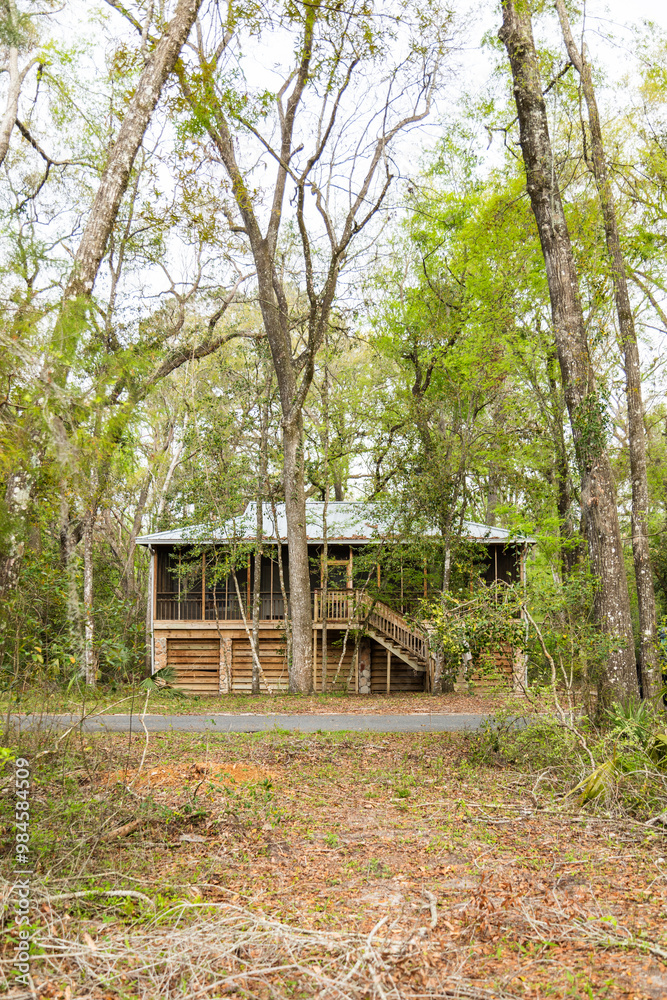 Vertical Hidden Cabin in a Woods Forest at the Suwannee River State park Campground in Live Oak, Florida in North Florida Vertical Hidden Cabin in a Woods Forest at the Suwannee River State park Campground in Live Oak, Florida in North Florida