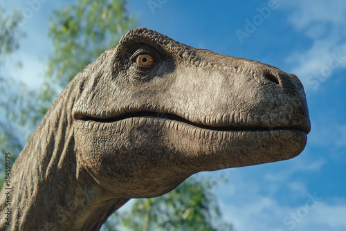 Gros-plan sur la tête d'un Diplodocus photo