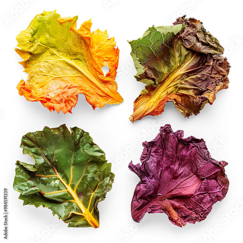 Assorted Dried Herbs, Spices, and Vegetables in Grid on a transparent background