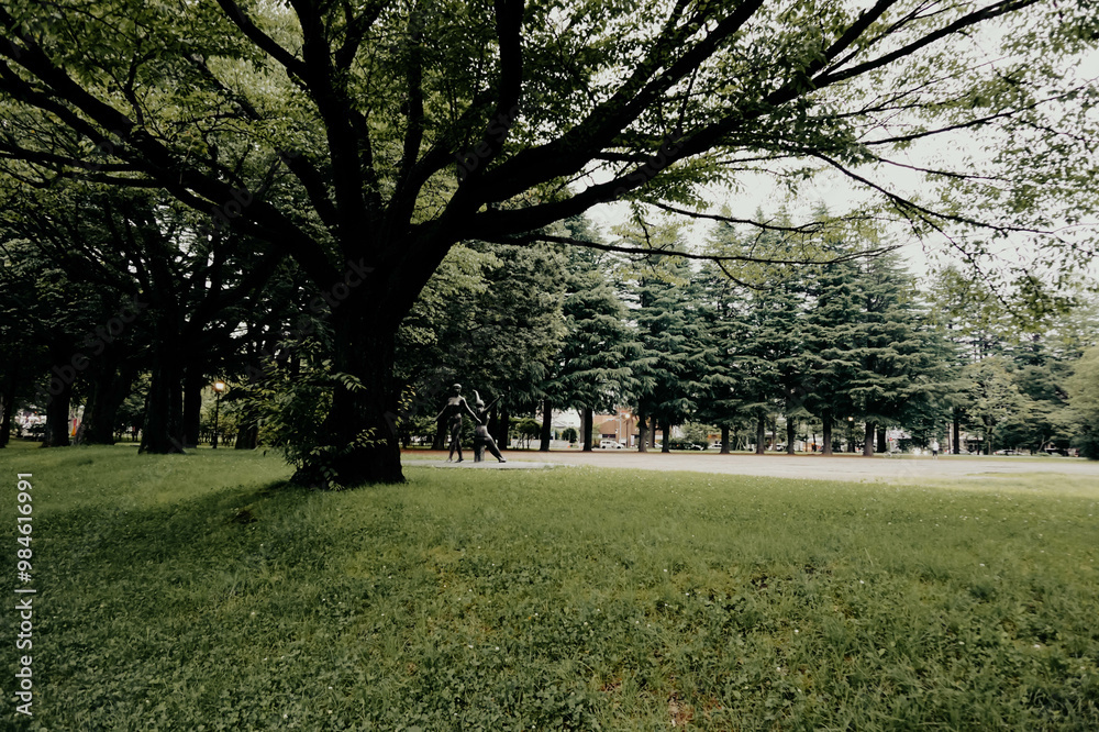 Obraz premium The garden in the center of the city for sports activities.