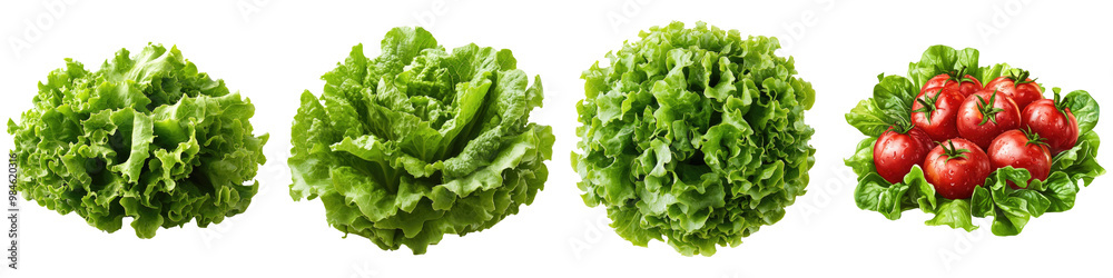 used in salads or saluted Isolated on Clear White Background Highly Detailed used in salads or saluted Isolated on Clear White Background Highly Detailed