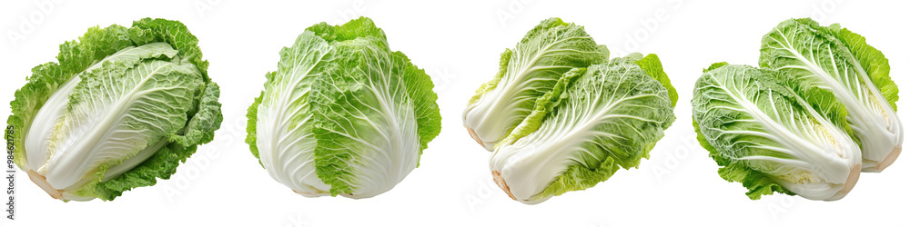 Napa Cabbage - Mild and tender Isolated on Clear White Background Highly Detailed Napa Cabbage - Mild and tender Isolated on Clear White Background Highly Detailed
