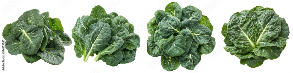 Collard Greens - Hearty and nutritious Isolated on Clear White Background Highly Detailed Collard Greens - Hearty and nutritious Isolated on Clear White Background Highly Detailed