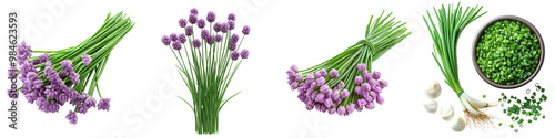 Chives - Mild onion flavor Isolated on Clear White Background Highly Detailed 