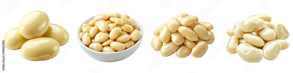 Butter Beans - Soft and creamy Isolated on Clear White Background Highly Detailed Butter Beans - Soft and creamy Isolated on Clear White Background Highly Detailed