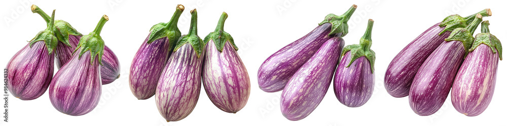 custom made wallpaper toronto digitalBrinjal/Eggplant - Soft and flavorful Isolated on Clear White Background Highly Detailed 