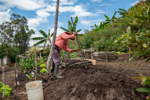 Diligent Farmer Uses a Shovel to Distribute Organic Fertilizer for Fresh Planting. Farm Life Concept