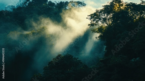 Misty forest with sunlight filtering through trees, creating a serene atmosphere.