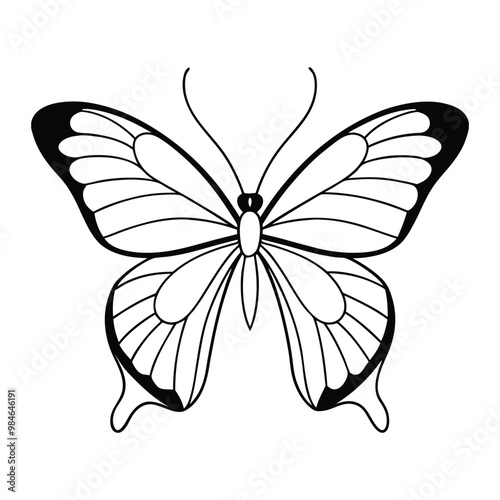 Black butterfly vector design. Line art