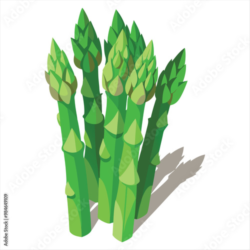 Asparagus Vector Art
