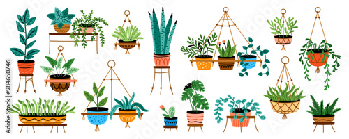 Potted plants set. Interior houseplants in planters, baskets, flowerpots. Home indoor green decor. Different succulents, cacti, foliage. Flat graphic vector