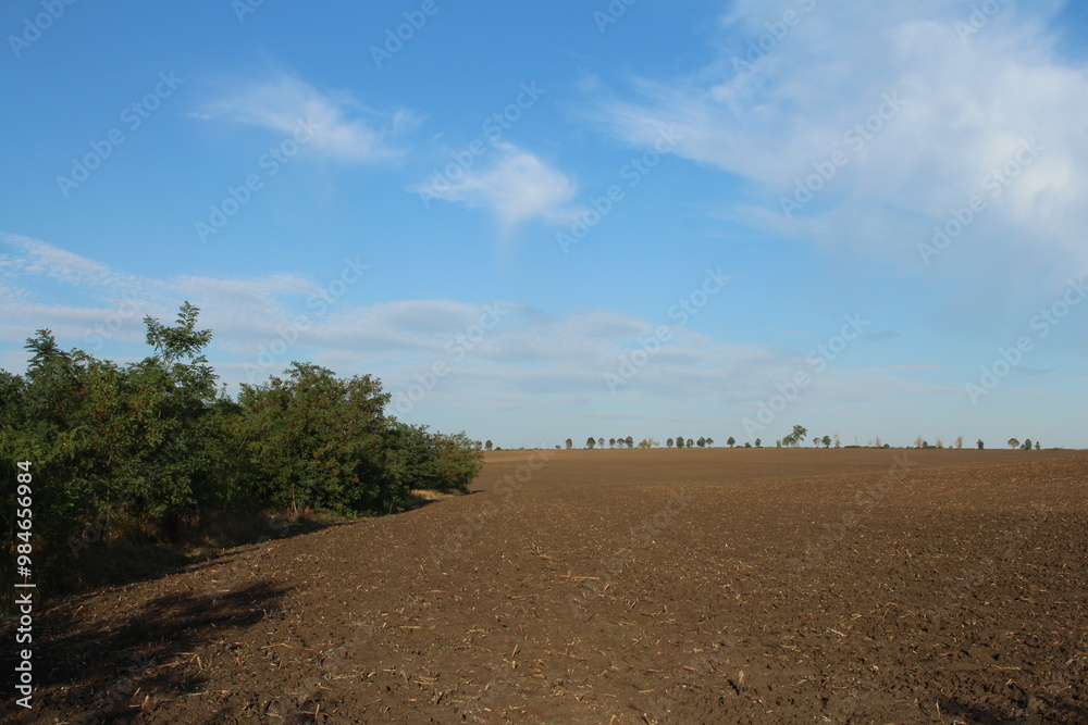 Obraz premium A dirt road with trees and blue sky