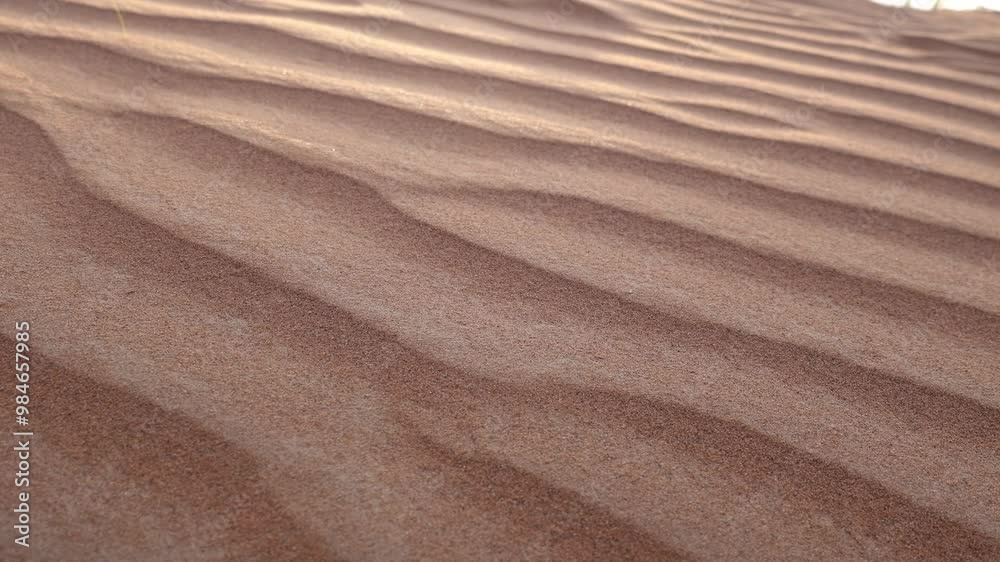 sunset light on golden desert dunes. desert pattern sunset light on golden desert dunes. desert pattern
