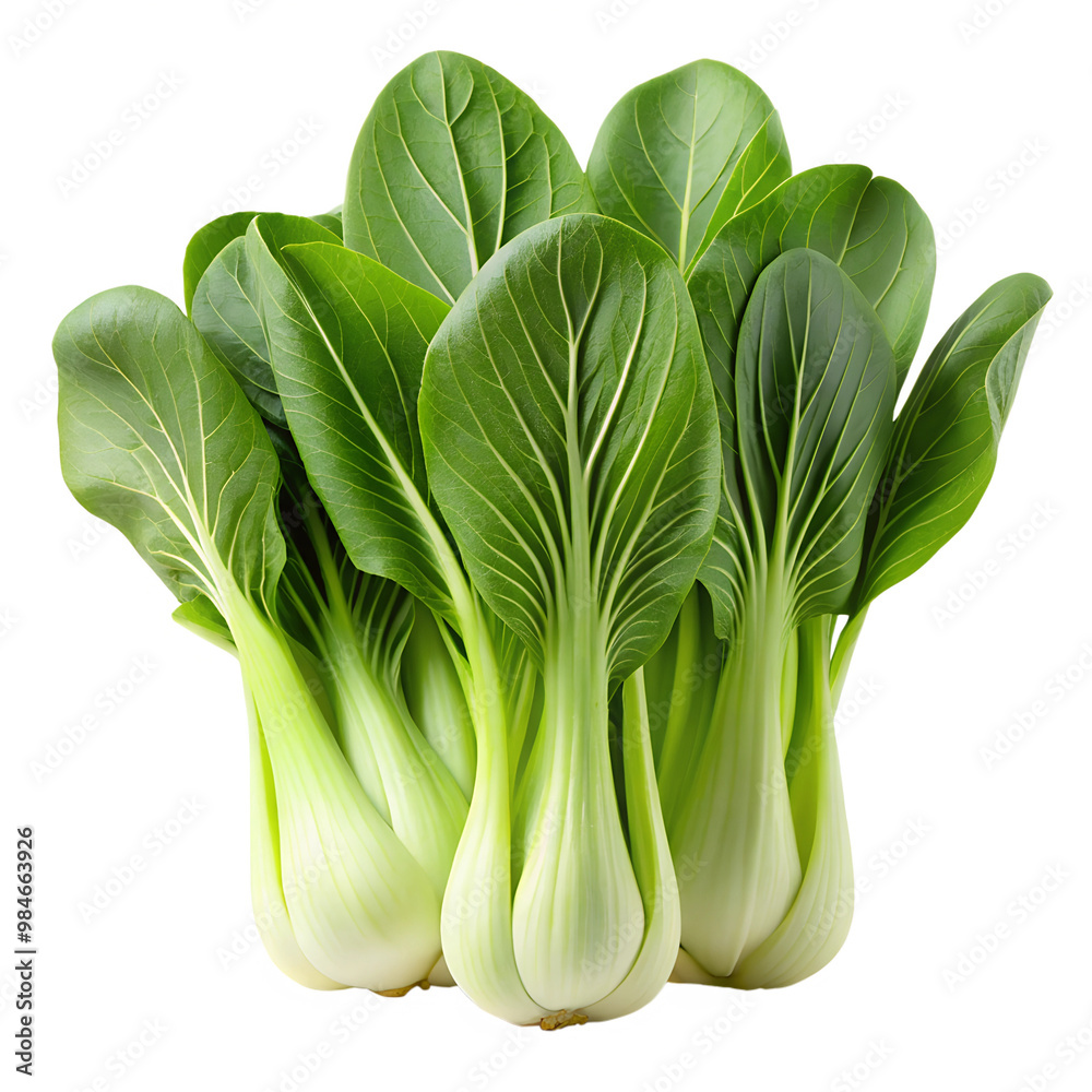 Bok choy isolated on transparent background Bok choy isolated on transparent background