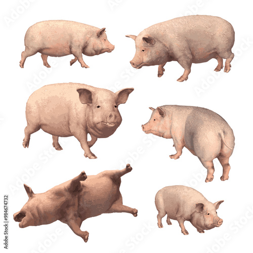 Piggy animal ilustration vector design 