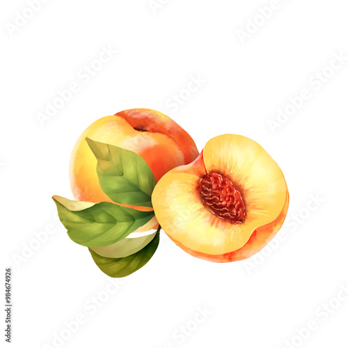 Hand drawn illustration of peaches and green leaves. Isolated on white.