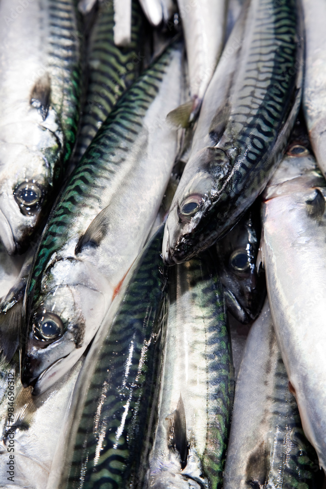 Obraz premium Fresh Caballas at Mercado De La Boquería, Barcelona