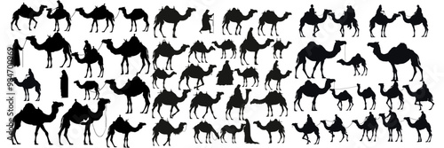 Camel and dromedary silhouette vector collection, black logo icons of camel riders, desert palm vector illustration, camel set, dromedary illustrations, desert animal graphics, camel riding designs