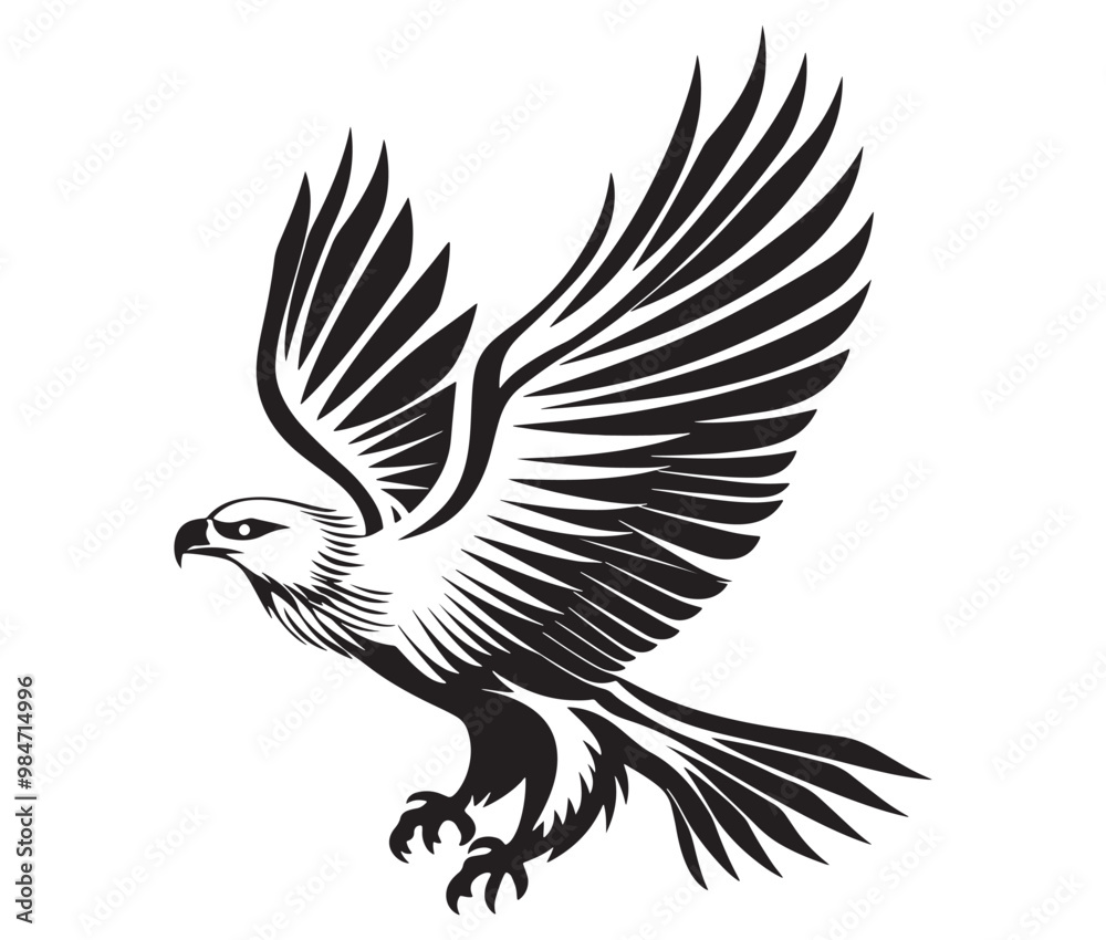 Flying eagle vector illustration Flying eagle vector illustration