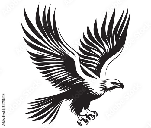  Flying eagle vector illustration photo