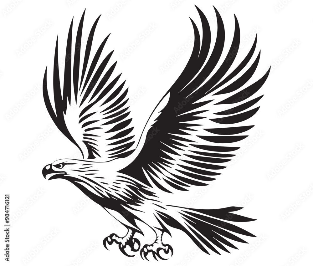 Flying eagle vector illustration Flying eagle vector illustration
