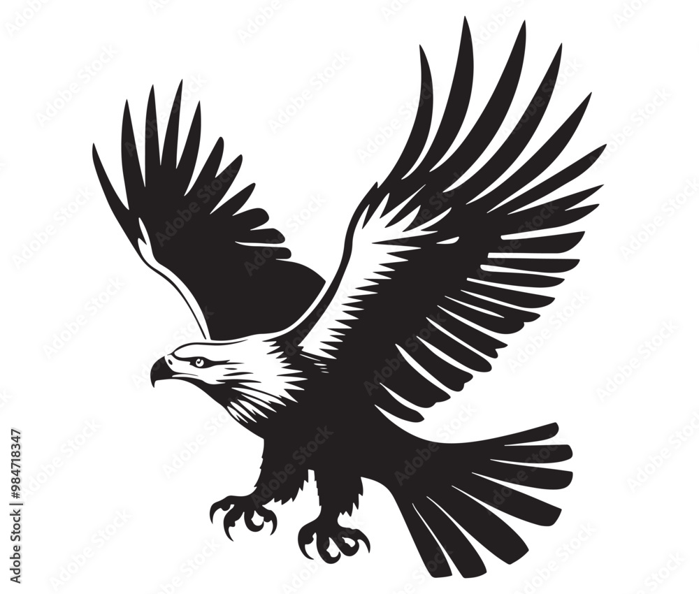Flying eagle vector illustration Flying eagle vector illustration