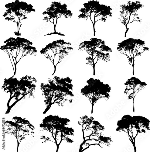 Decorative Tree Silhouette with Treetop Details
