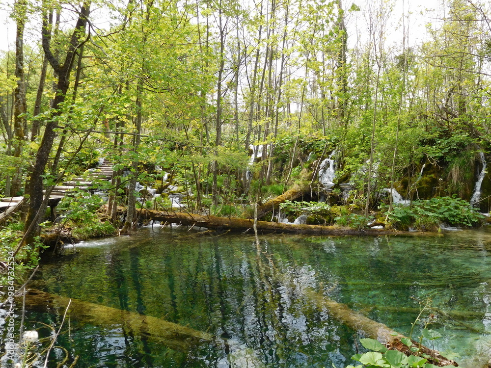 Nature Nature