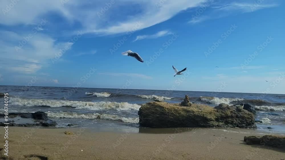 Video of seagulls hovering over the Black Sea coast in Odessa. Horizontal video of the beach during the day in clear weather Video of seagulls hovering over the Black Sea coast in Odessa. Horizontal video of the beach during the day in clear weather