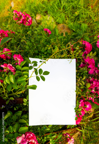 Obraz na płótnie White paper and beautiful flowers. High quality photo w salonie