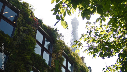 Eiffel Tower from Quai Branly