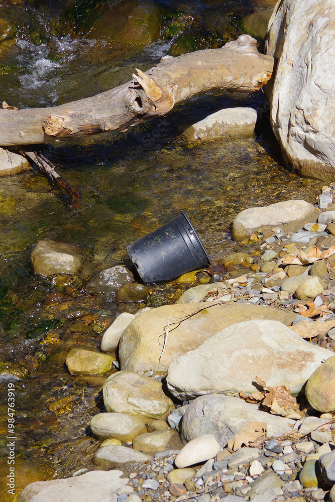 Obraz premium Empty bucket in a forest creek