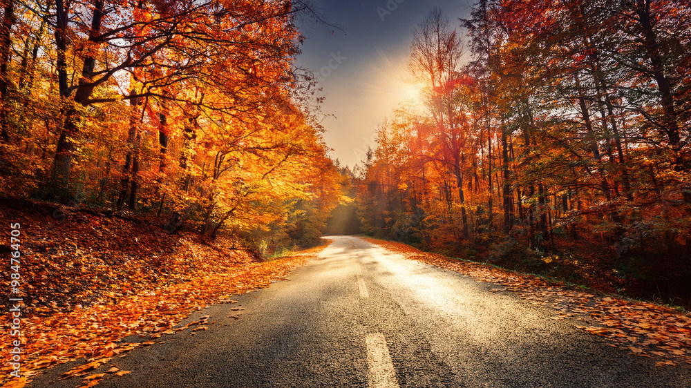 Obraz premium Golden autumn road winding through vibrant forest landscape