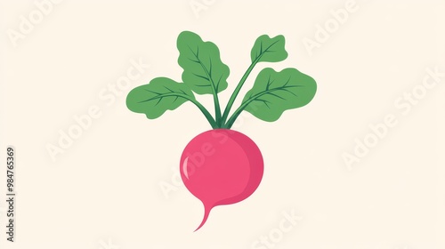 A simple, flat drawing of a radish. It's a healthy vegetable from a farm, perfect for organic food.