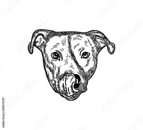 Vintage hand drawn sketch dog head sticking out tongue vector illustration isolated on white background.