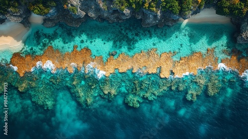 Fototapeta Naklejka Na Ścianę i Meble -  Coral reef with vibrant marine life fading into a barren, colorless section of dead coral, showcasing the effects of ocean acidification, top view