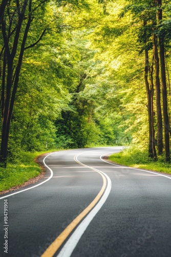 Serpentine road weaving through lush green forest on a bright summer day