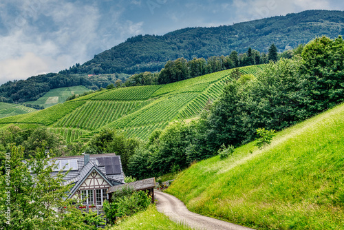 Sasbachwalden is a municipality in the district of Ortenau, Baden-Württemberg, Germany. It is located on the western slope of the Hornisgrinde mountain. photo